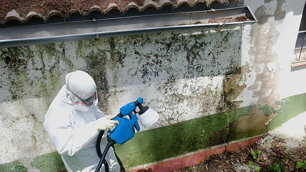 Top rated local Commercial Mold Remediation specialists in White Post, VA